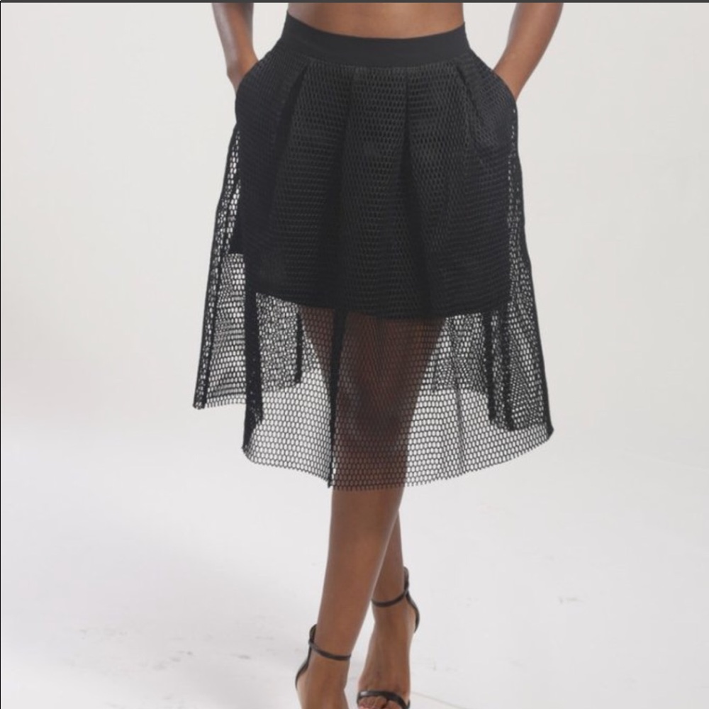 BLVD Mesh Midi Skirt